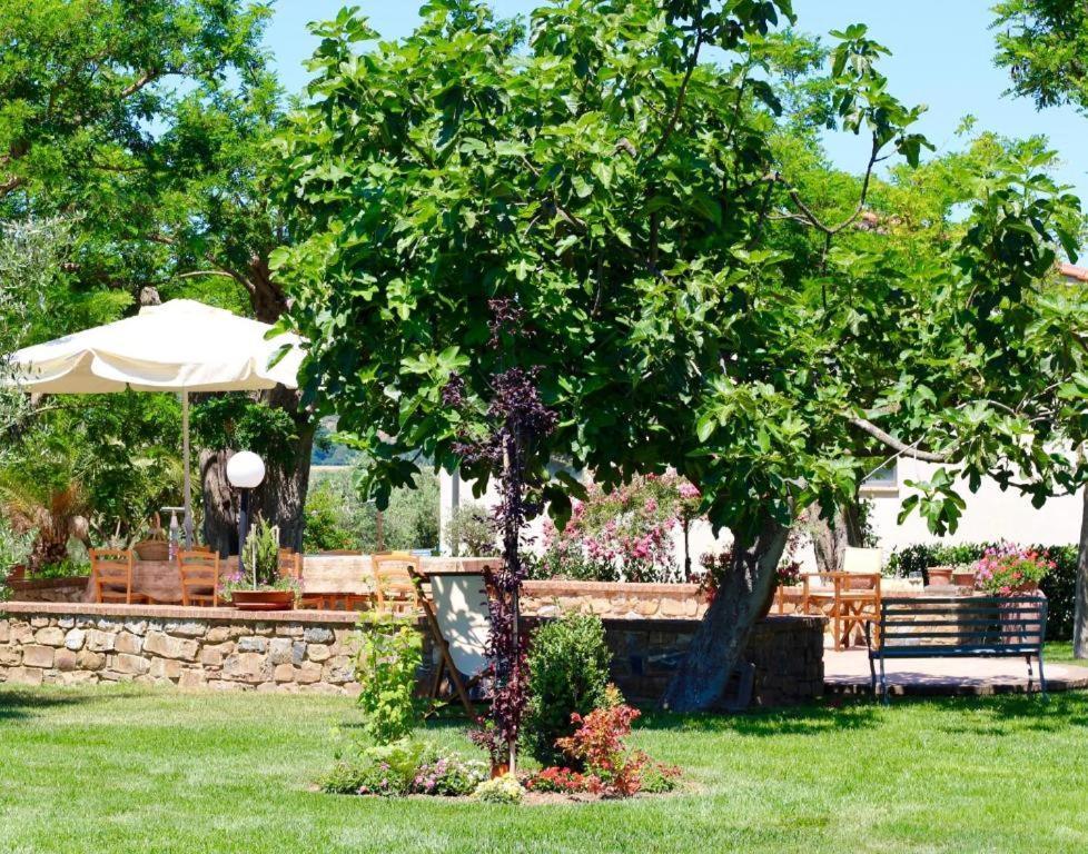 Agriturismo Vecchio Imposto Massa Marittima Exteriör bild